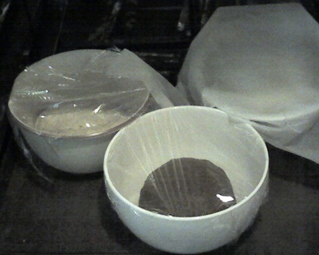 doughintheproofbox.jpg