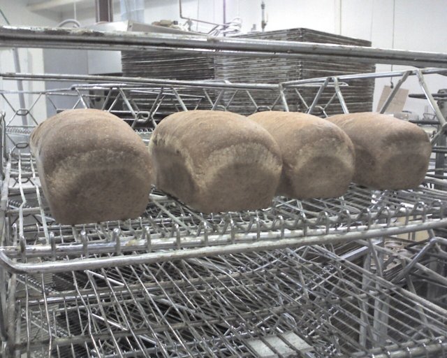 stevecarlsonswholewheatbread.jpg