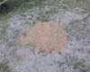 stackedbrickoven40mini01_small.jpg
